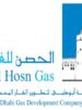 final logo hosn 2013